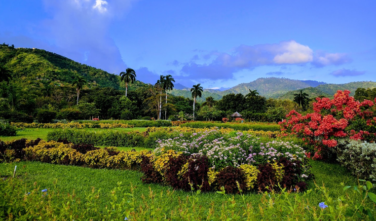 Hope Royal Botanical Gardens in Kingston