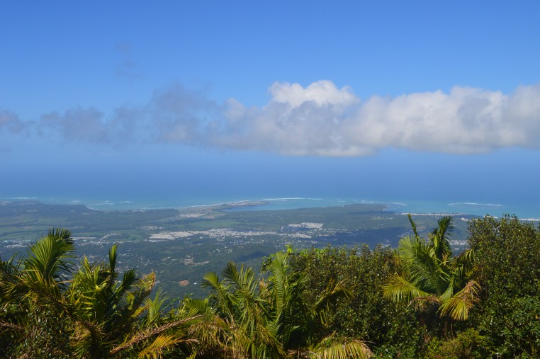 View from the top of El Yunque National Forest