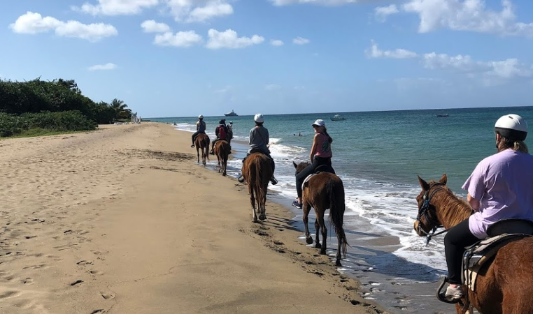 A group of horse riders on a beach on the island of Nevis