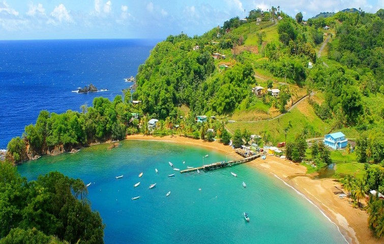 Beach and green hills of Tobago Bay