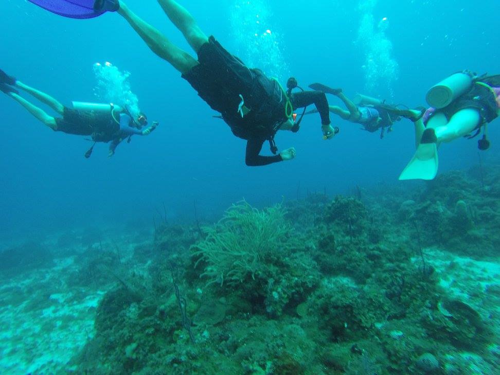 snorkel trips jamaica