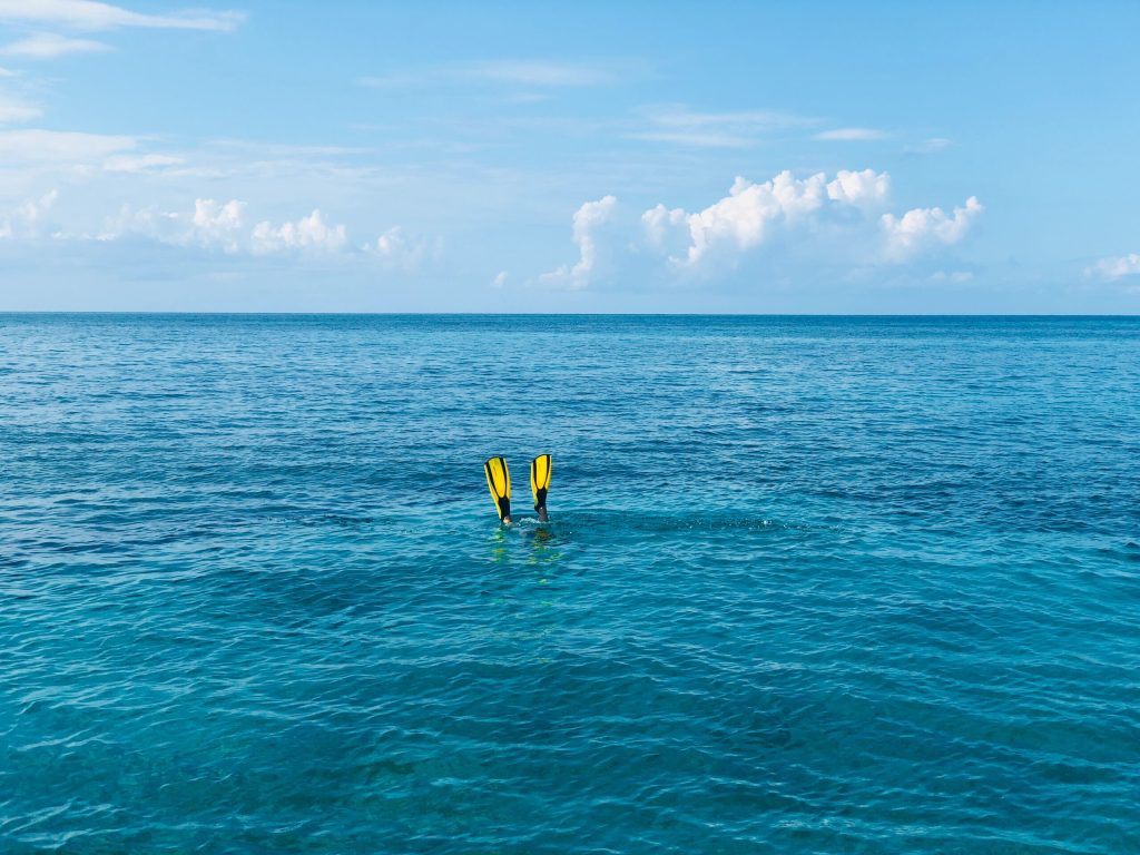 scuba diving trips in caribbean