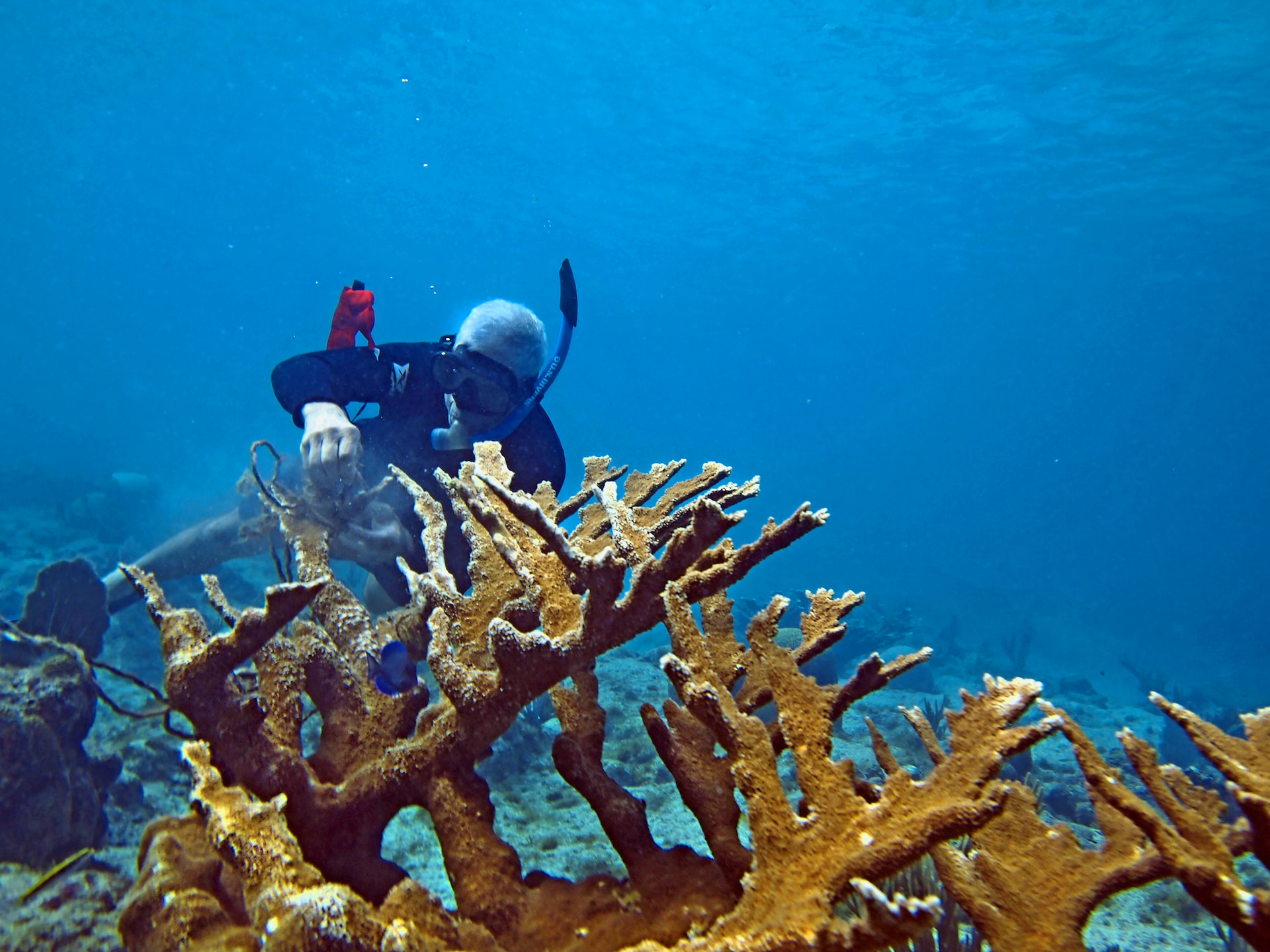 best time to visit caribbean for weather